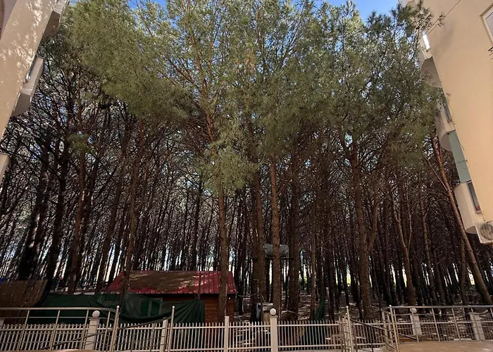 Velipoja Apartment Velipoje